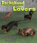 DACHSHUND Lovers Poses for Dachshund Breed (Daz Dog 8) by Winterbrose. This pose set is based upon our Everyday Dog Poses for Daz Dog 8, and has been customized to fit the scaling and morphs of the Dachshund breed. Use these day-to-day and favorite dog poses for your digital artwork with this wide variety of forty (40) poses. This set contains everything from hilarious to down right serious. You are sure to find something to meet your needs as a Dachshund lover. All of the poses are listed below with a short description. Angry = Angry dog, Ball Curl = Curled up on floor, Begging Push = Begging for treat/attention, Butt Scoot = Scooting on bottom, Curious = Curious hound, Dig = Digging a hole, Drink = Getting a drink, Ear Scratch = Scratching ear, Gator Roll = Rolling on back to stretch, Guilty = "I did it" look, Handshake = Shaking hand, Head Shake = Shaking head, Hop Back = Hopping back from something, Jump = Jump through air, Lay Look = Laying and looking at something, Lay Paws Crossed = Laying with paws crossed, Lay Side Stretch = Stretching on side, Lay Side = Laying down on side, Lay = Laying down on belly, Peeing1 = Hiking leg to urinate, Peeing2 = Squatting to urinate, Peering Over = Peering over fence or sofa, Playful Hunched = Leaning down and ready to play, Playful Pawing = Pawing at toy or someone's foot, Playful Roll = Rolling on back during playtime, Playful = Ready to play, Pointing = Pointing at rabbit, squirrel or game, Pooping = Deficating for relief, Prance = Showing off for dog show judges, Retreat = Backing off while scared, Roll Stretch = Rolling on back with full stretch, Run = Running Dog, Sit Attentive = Intently paying attention, Smell = Smelling the ground or an object, Sprint1 = Sprinting dog, Sprint2 = Sprint and leap across something, Stalking = Stalking someone or sneakily approaching, Tail Chase = After my own tail (again and again), Tug = Tug o' war anyone, Yawn Stretch = Stretch and yawn
