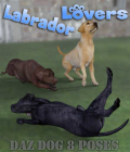 LABRADOR Lovers Poses for Labrador Breed by Winterbrose. This pose set is based upon our Everyday Dog Poses for Daz Dog 8, and has been customized to fit the scaling and morphs of the Labrador breed. Use these day-to-day and favorite dog poses for your digital artwork with this wide variety of forty (40) poses. This set contains everything from hilarious to down right serious. You are sure to find something to meet your needs as a Labrador lover. All of the poses are listed below with a short description. Angry = Angry dog, Ball Curl = Curled up on floor, Begging Push = Begging for treat/attention, Butt Scoot = Scooting on bottom, Curious = Curious hound, Dig = Digging a hole, Drink = Getting a drink, Ear Scratch = Scratching ear, Gator Roll = Rolling on back to stretch, Guilty = "I did it" look, Handshake = Shaking hand, Head Shake = Shaking head, Hop Back = Hopping back from something, Jump = Jump through air, Lay Look = Laying and looking at something, Lay Paws Crossed = Laying with paws crossed, Lay Side Stretch = Stretching on side, Lay Side = Laying down on side, Lay = Laying down on belly, Peeing1 = Hiking leg to urinate, Peeing2 = Squatting to urinate, Peering Over = Peering over fence or sofa, Playful Hunched = Leaning down and ready to play, Playful Pawing = Pawing at toy or someone's foot, Playful Roll = Rolling on back during playtime, Playful = Ready to play, Pointing = Pointing at rabbit, squirrel or game, Pooping = Deficating for relief, Prance = Showing off for dog show judges, Retreat = Backing off while scared, Roll Stretch = Rolling on back with full stretch, Run = Running Dog, Sit Attentive = Intently paying attention, Smell = Smelling the ground or an object, Sprint1 = Sprinting dog, Sprint2 = Sprint and leap across something, Stalking = Stalking someone or sneakily approaching, Tail Chase = After my own tail (again and again), Tug = Tug o' war anyone, Yawn Stretch = Stretch and yawn